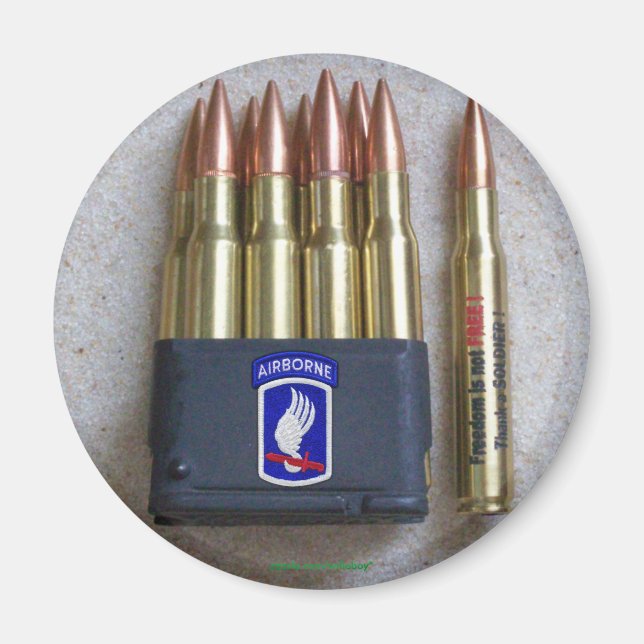 173rd ABN BDE Airborne Brigade Sky Soldiers Vets Magnet (Front)