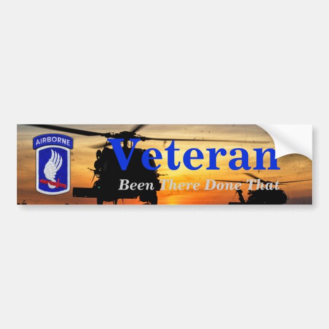 173rd airborne sky soldiers veterans vets bumper sticker (Front)
