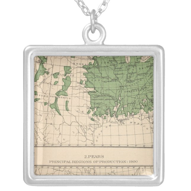 174 Apples, pears, principal regions Silver Plated Necklace (Front)