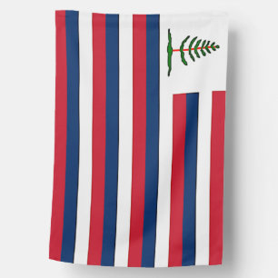 1775 New England house flag