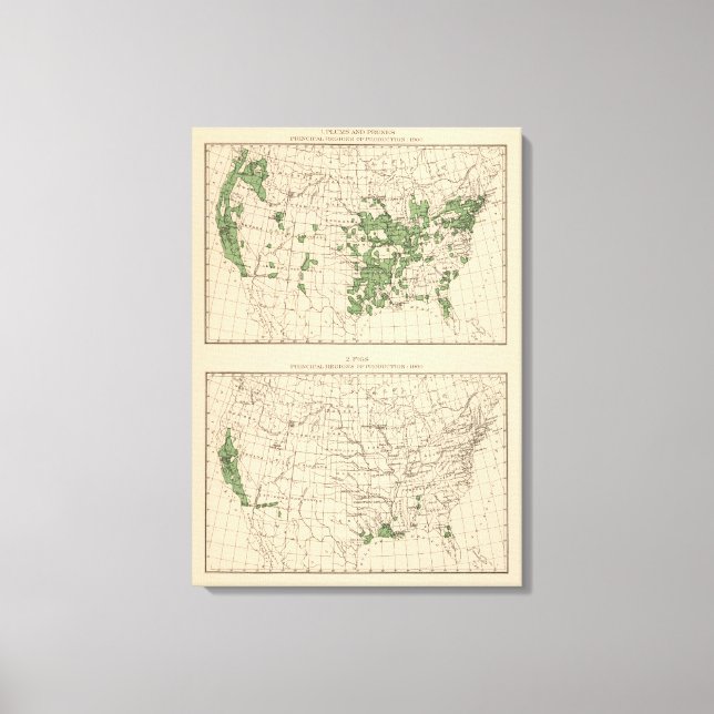 177 Plums, prunes, figs, principal regions Canvas Print (Front)