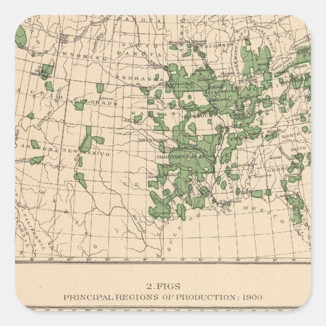 177 Plums, prunes, figs, principal regions Square Sticker (Front)