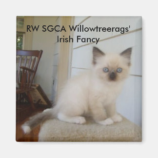 178, RW SGCA Willowtreerags' Irish Fancy Magnet