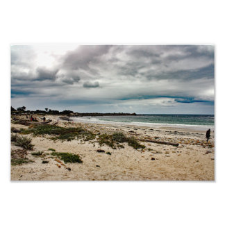 17 Mile Drive Photo Print