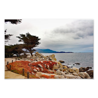 17 Mile Drive Photo Print