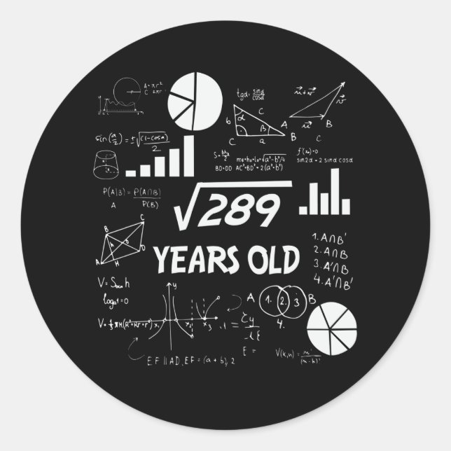 17 Year Old Bday Geeky Math 17th birthday Gift Classic Round Sticker (Front)