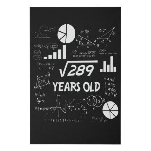 17 Year Old Bday Geeky Math 17th birthday Gift Faux Canvas Print