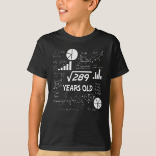 17 Year Old Bday Geeky Math 17th birthday Gift T-Shirt