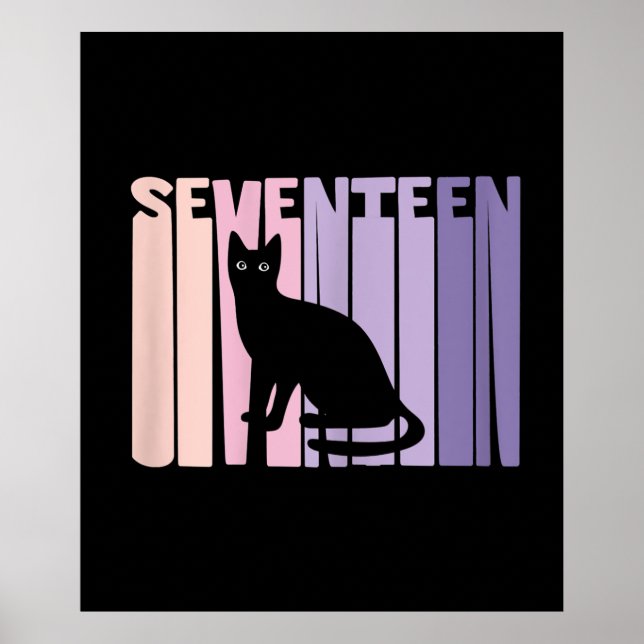 17th Birthday Gift | Cute Cat Lover Gift Poster (Front)