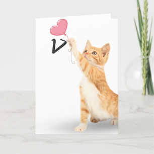 17th birthday tabby cat card