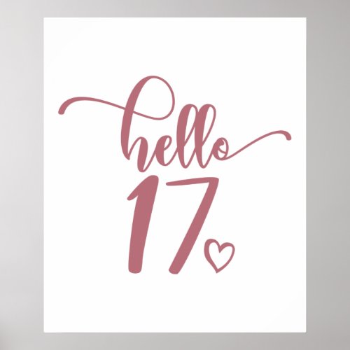 17th Birthday Women Hello 17 Cute 17 Years Old Poster