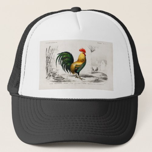 1800s Rooster Chicken Coop Illustration Trucker Hat