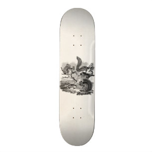 1800s Vintage Squirrels Illustration - Squirrel Skateboard