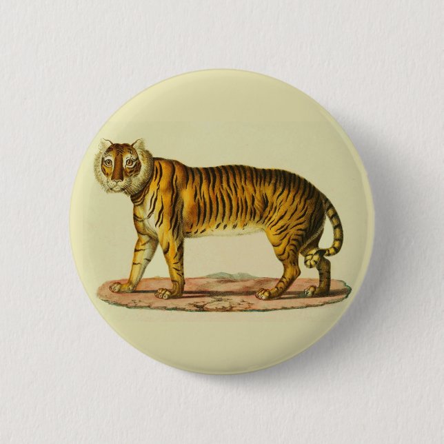 1824 tiger print button (Front)