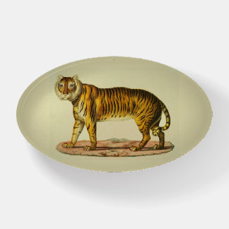 1824 tiger print paperweight