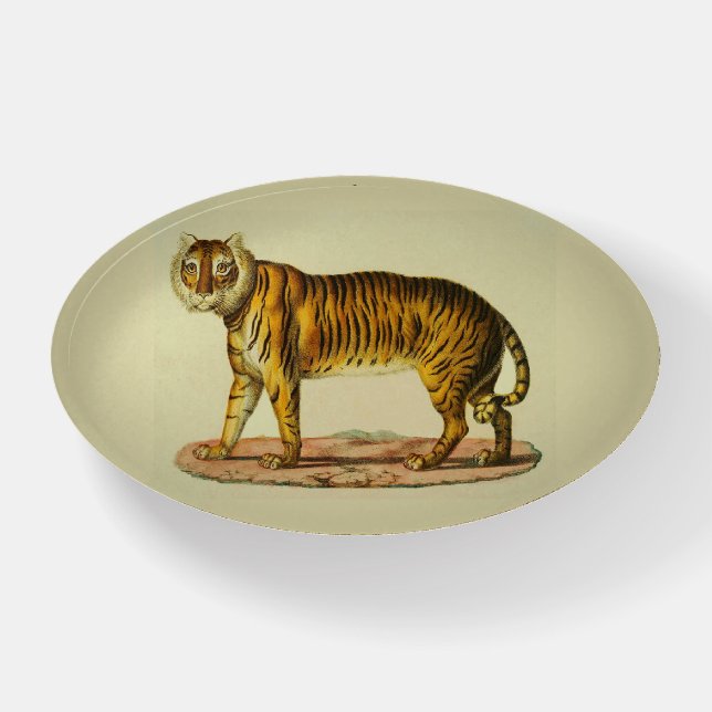 1824 tiger print paperweight (Front)