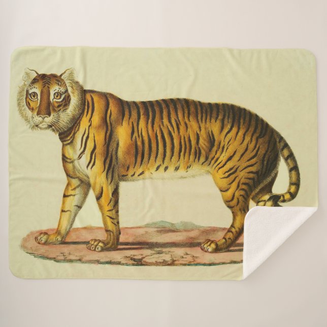 1824 tiger print sherpa blanket (Front (Horizontal))