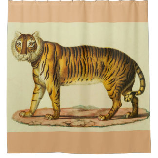 1824 tiger print shower curtain
