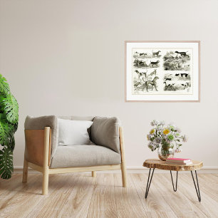 1830 Dog Breeds - Archival Print