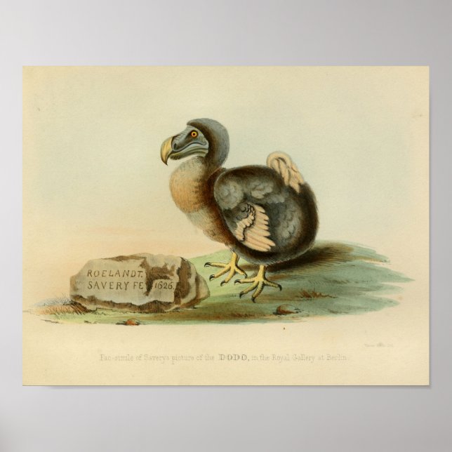 1848 Dodo Bird Vintage Color Print (Front)