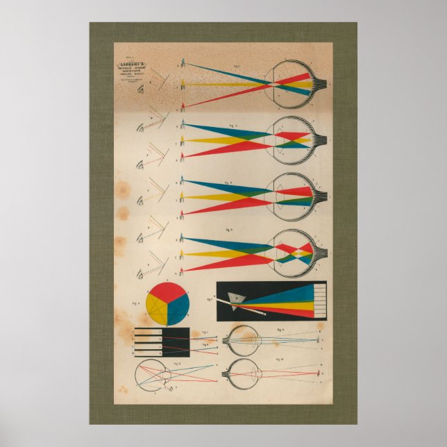 1851 Vintage Vision Eyesight Anatomy Chart (Front)