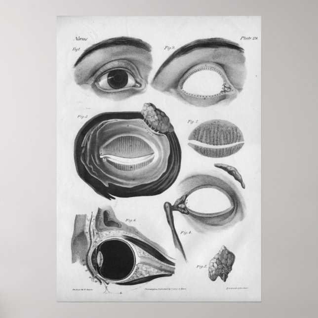 1854 Vintage Eye Anatomy B/W Print (Front)