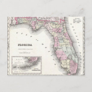 1855 Colton Map of Florida Postcard