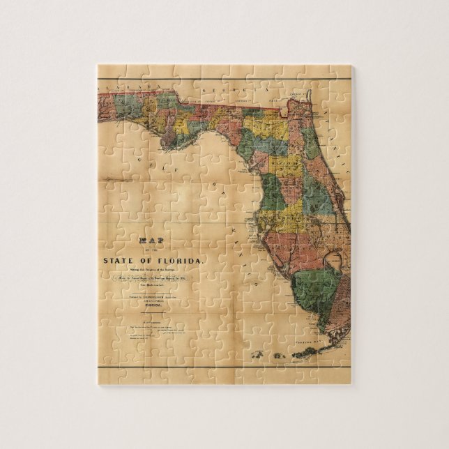 1856 Map of the State of Florida by Columbus Drew Jigsaw Puzzle (Vertical)