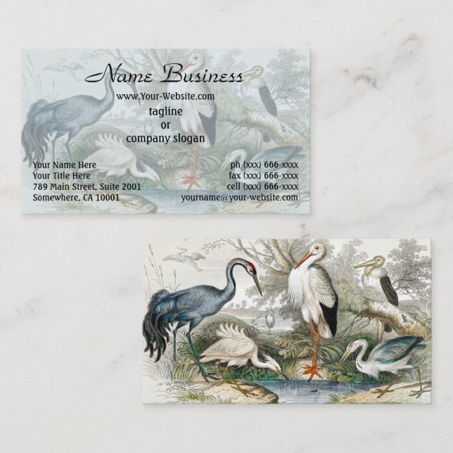 1866 Crane  White Stork Heron Little Egret Tree Business Card (Front/Back)