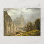 1866 Merced River in Yosemite Valley Postcard