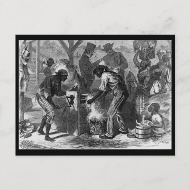 1869 The First cotton-gin African American History Postcard (Front)