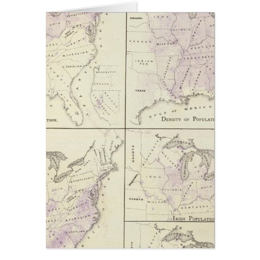 1870 United States census maps Cards (Front)