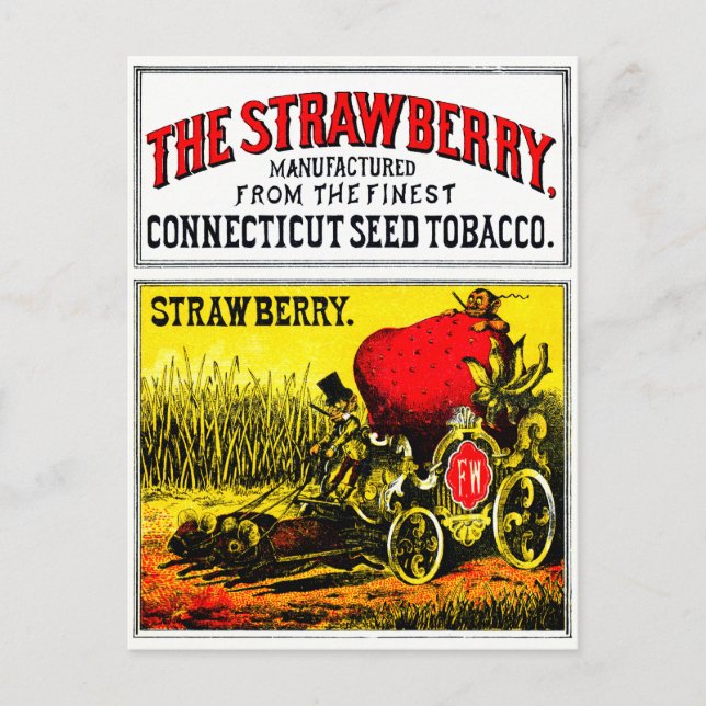 1874 The Strawberry Cigar Postcard (Front)