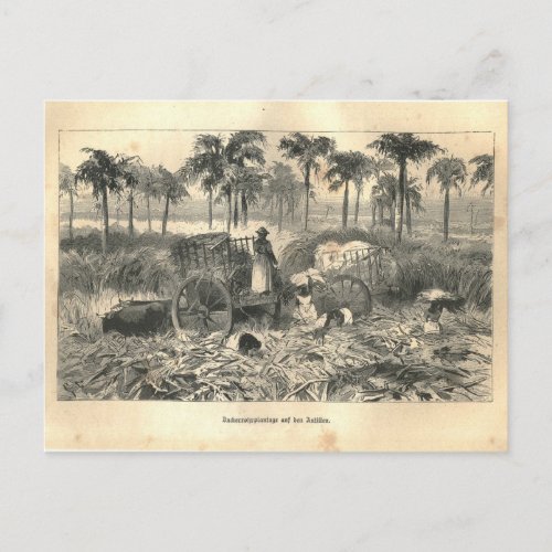 1877 Print Cuba Antilles Earth and its Peoples Postcard
