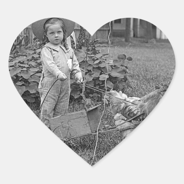 1880's Adorable Girl and Rooster Cart in Garden Heart Sticker (Front)