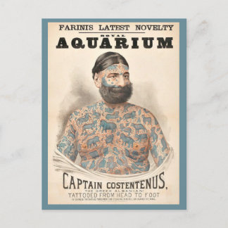 1880s Captain Costentenus tattooed man Postcard