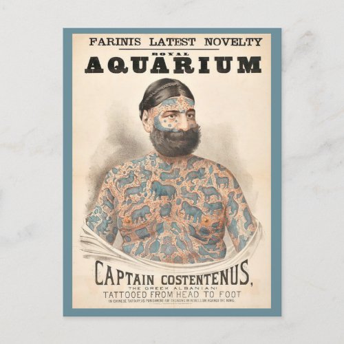 1880s Captain Costentenus tattooed man Postcard