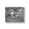 1880's Photograph Girl in Garden Rooster Cart