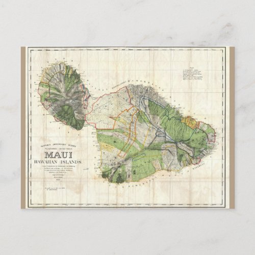 1885 De Witt Alexander Map of Maui Hawaii Postcard