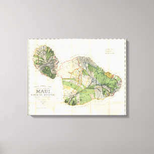 1885 De Witt Alexander Wall Map of Maui, Hawaii Canvas Print