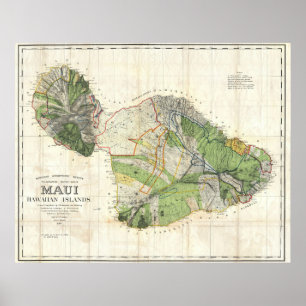 1885 De Witt Alexander Wall Map of Maui, Hawaii Poster