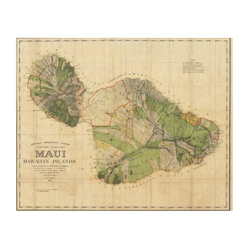 1885 De Witt Alexander Wall Map of Maui Hawaii Wood Wall Decor
