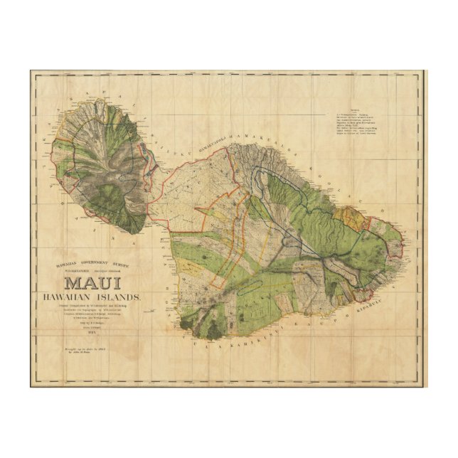 1885 De Witt Alexander Wall Map of Maui, Hawaii Wood Wall Decor (Front)