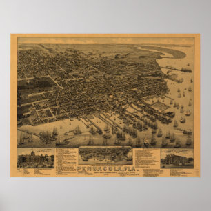 1885 Pensacola, FL Birds Eye View Panoramic Map Poster