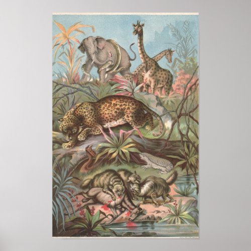 1889 Wild Animals in the African Forest Poster