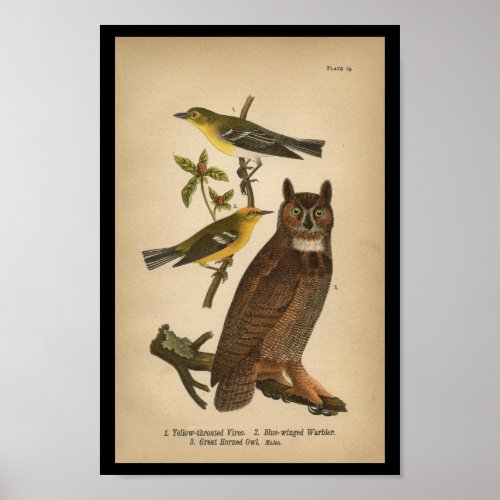 1890 Bird Print Great Horned Owl