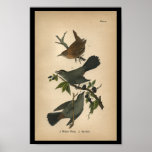 1890 Bird Print Winter Wren at Zazzle