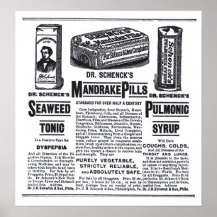 1890 medicines newspaper ad poster
