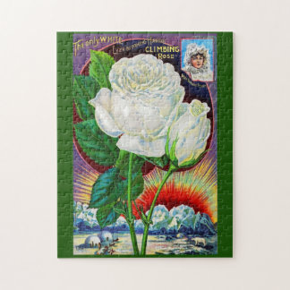 1890s rose catalog illustration White Rose Jigsaw Puzzle