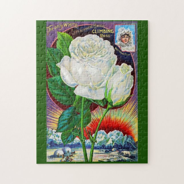 1890s rose catalog illustration White Rose Jigsaw Puzzle (Vertical)